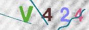 Type this code into the box below