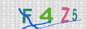 Type this code into the box below