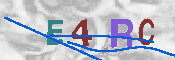 Type this code into the box below