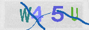 Type this code into the box below