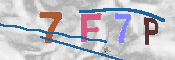 Type this code into the box below